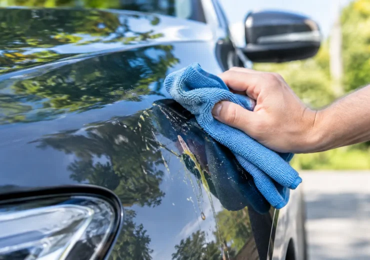 How to Remove Tree Sap Safely From Car Paint
